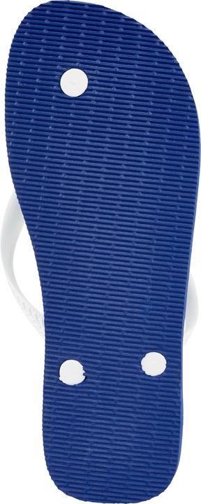 Actual product image Havaianas Brasil (43, 44)