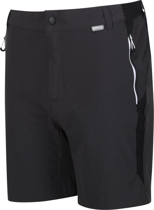 Produktbild Regatta Mountain II Shorts