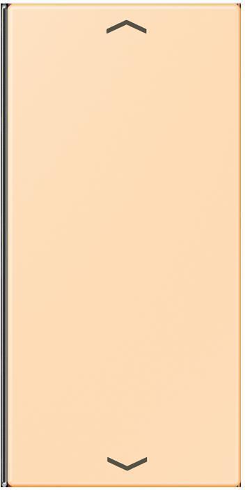 Produktbild JUNG Taste