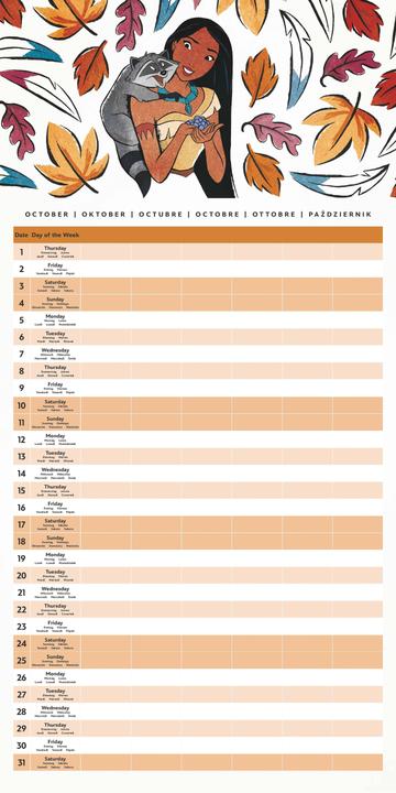 Produktbild Pyramid Disney Princess Calendar Family Planner w/Stickers 2026 (30 x 60 cm)