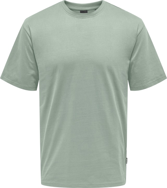 Only & Sons Onsfred Life Rlx Ss Tee Noos