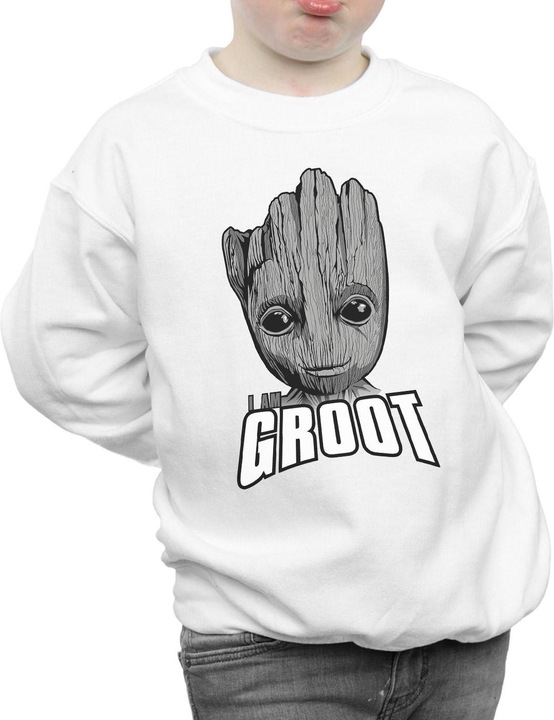 Actual product image Boys Guardians Of The Galaxy Groot Face Sweatshirt (128)