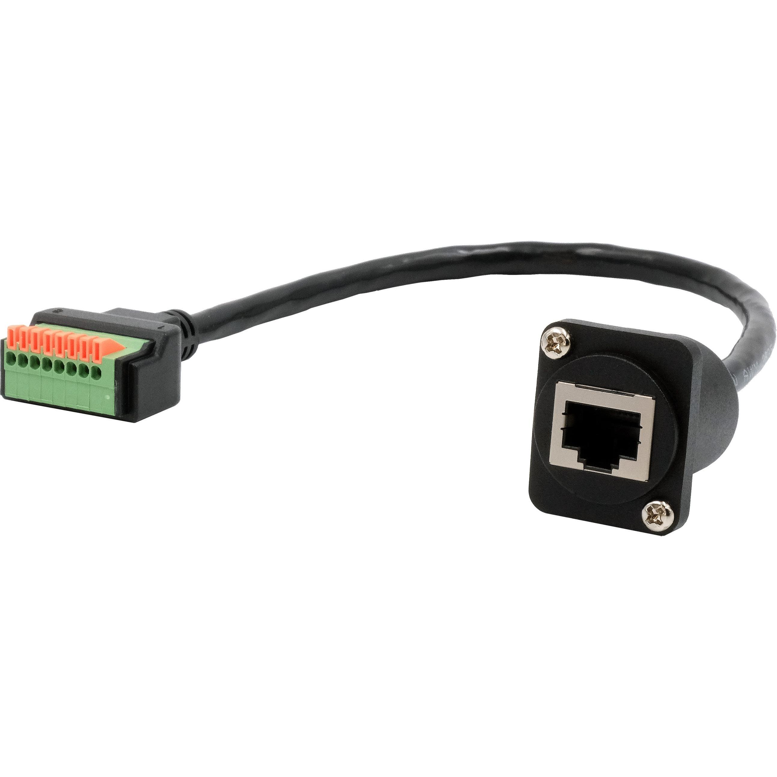 Exsys D-Typ Adapter RJ45 BU-TB (RJ45, 20 cm), Data + Video Adapter