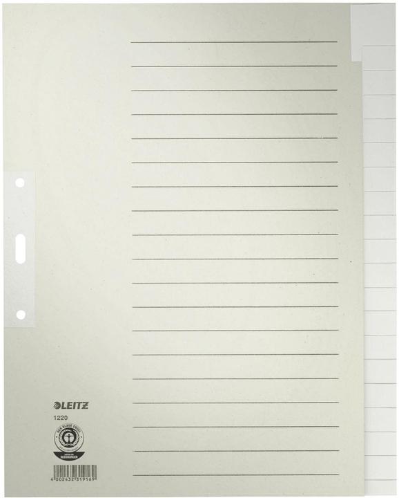 Actual product image Leitz Register paper gray