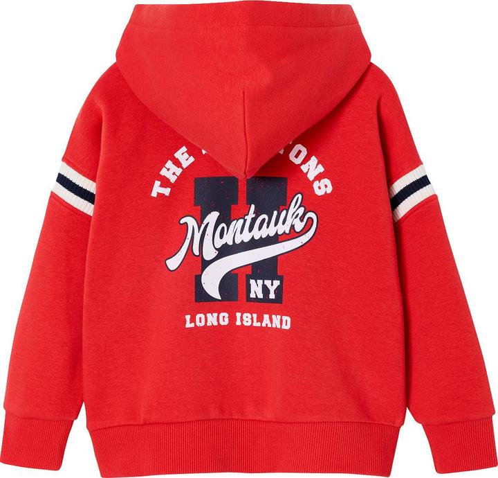 Image du produit Vertbaudet Sweat à capuche garçon avec grand motif au dos (152)