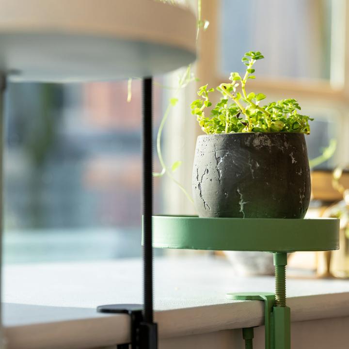 Produktbild Esschert Design Ablage