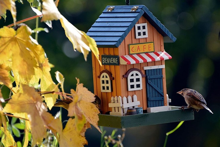 Produktbild Lifetime Vogelhaus