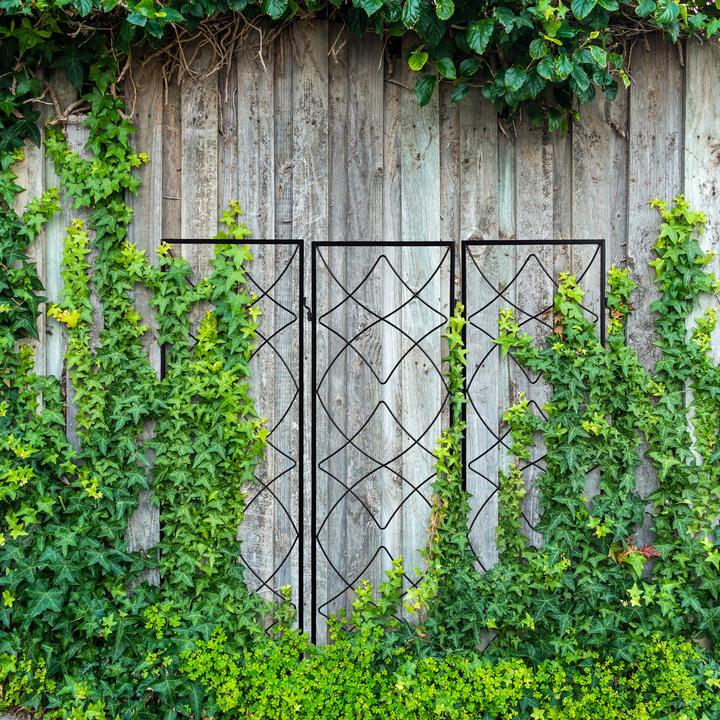 Produktbild Relaxdays Rankgitter (95 cm, 1 cm)