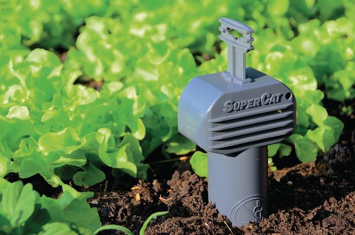 Actual product image Super Cat Wühlmaus-Falle SuperCat 1er