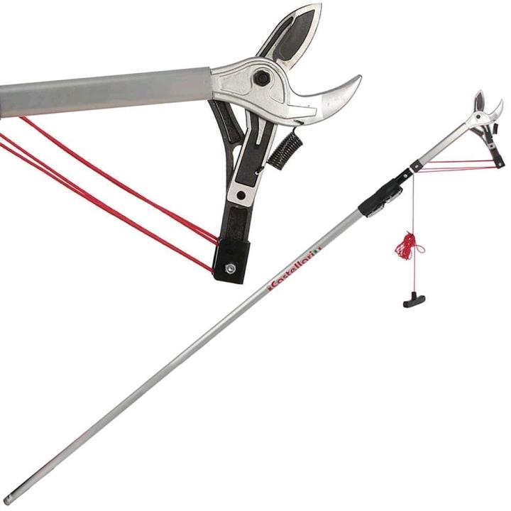 Produktbild Castellari Astschere