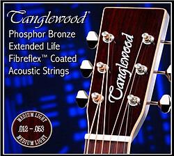 Tanglewood TWGS12 Ph.Br. Coated 012/053 (Gitarre)