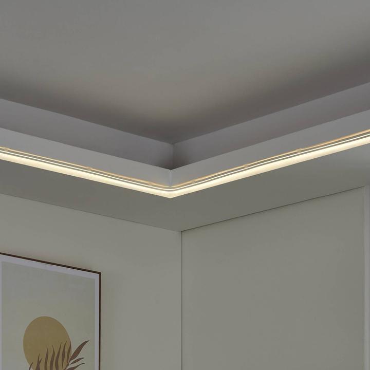 Actual product image EGLO Neon-stripe-z (500 cm, Indoor)