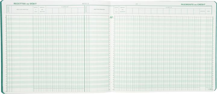 Actual product image Exacompta Business books (40x)