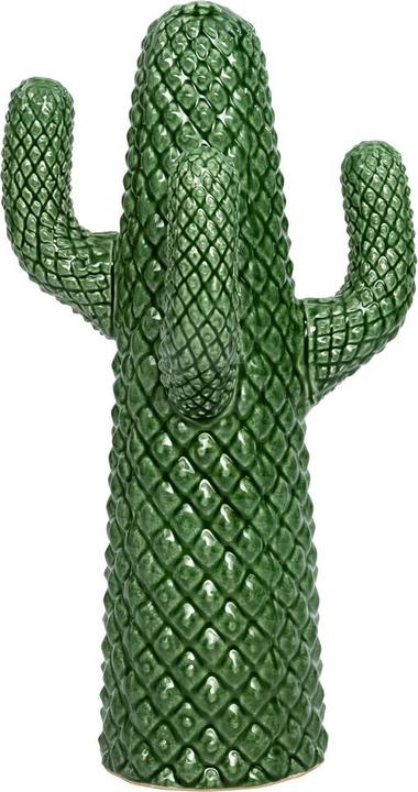 Actual product image pfister Cacto