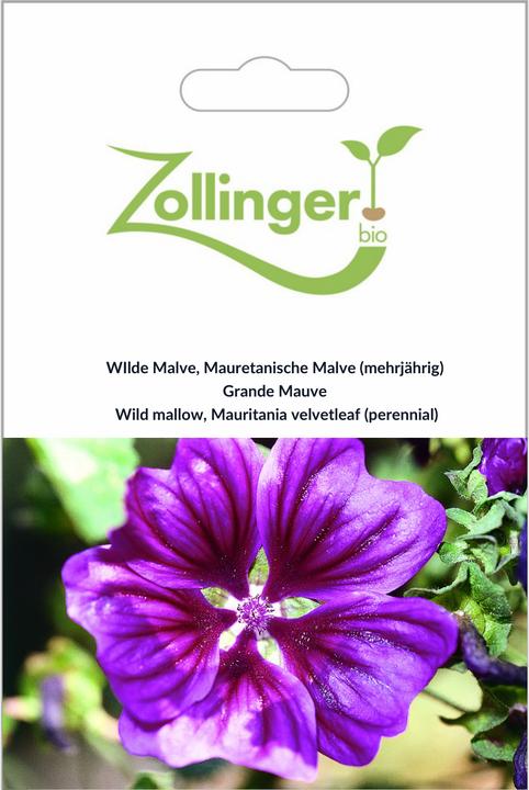 Zollinger Bio WIlde Malve, Mauretanische Malve (Semi di fiori)