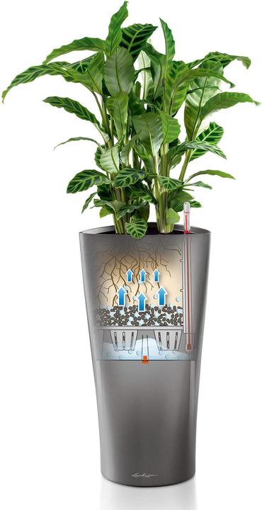 Actual product image Lechuza Delta (39 x 75.50 cm)