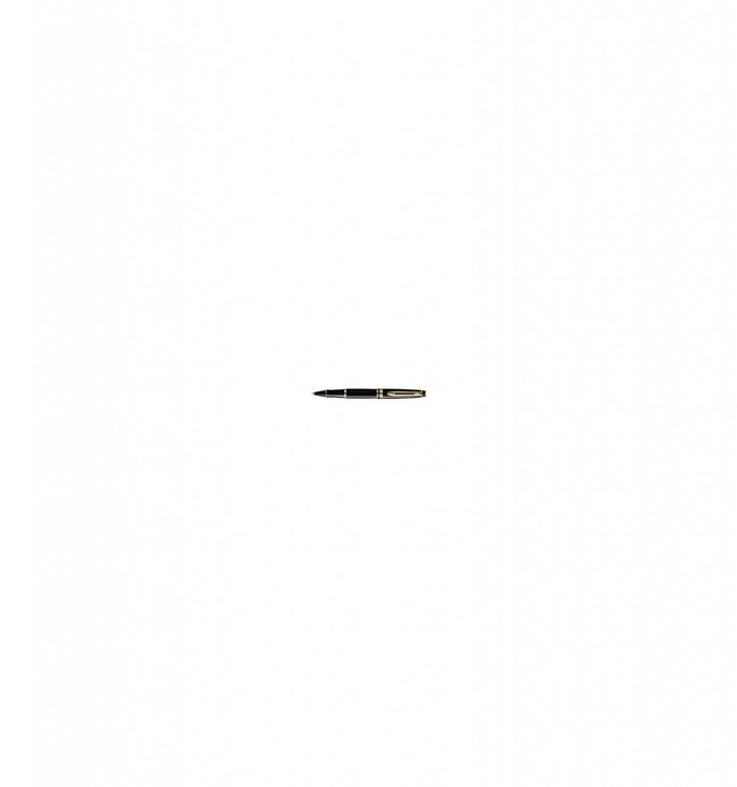 Actual product image Waterman Expert (Gold, Black, 1 x)