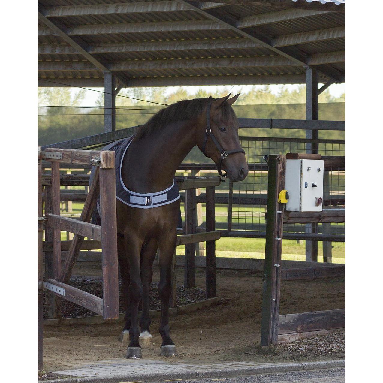 Thumbnail - Qhp, Pferdedecke, (145 cm)