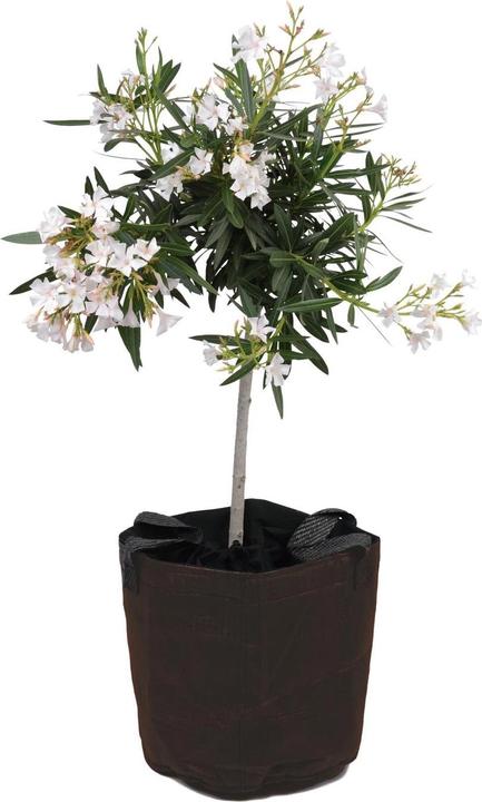 Colibri Pot de protection contre le gel