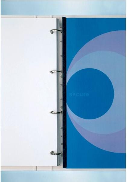 Actual product image GBC filing strips