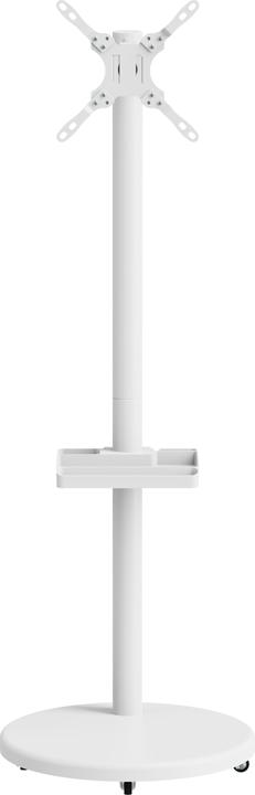 Reflecta TV Stand 43P-2020T weiss (15 kg, 17" - 43")