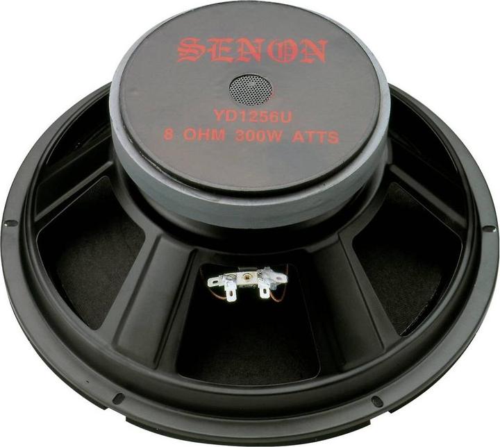 Actual product image Rockwood Blank PA Bass Fullrange 300 mm Guitar Speaker (1 pcs.)