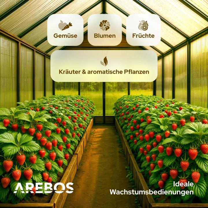 Actual product image Arebos Hohlkammerstegplatten