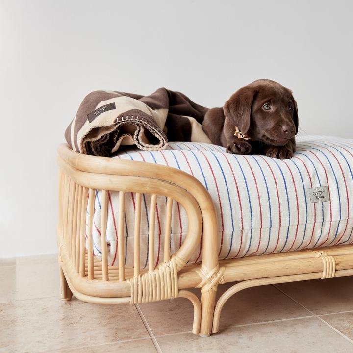 Immagine prodotto OYOY Zoo ZOO - Letto per cani Otto - Piccolo (Z60074) (Cane)