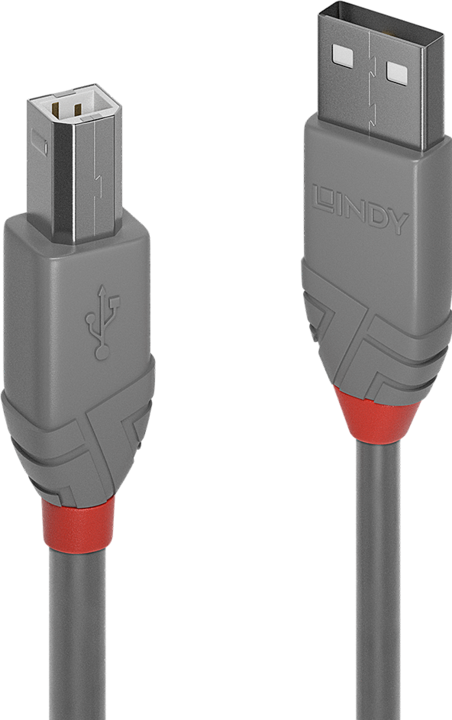 Productafbeelding Lindy USB/A-USB/B M-M (0.50 m, USB 2.0)