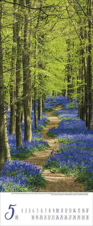 Produktbild Zauberhafte Wege 2026 (28.5 x 69 cm, Harter Einband, Deutsch)