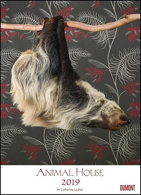 Produktbild Animal House Kalender 2019 Tier-Kalender Foto-Kunst Poster-Format 49,5 x 68,5 cm