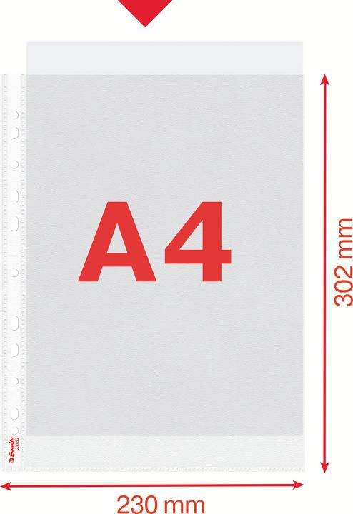 Produktbild Dymo Esselte Prospekthülle Standard, DIN A4, PP, genarbt, 0,07 mm oben offen, dokumentenecht, Eurolochung (A4, 1 x)