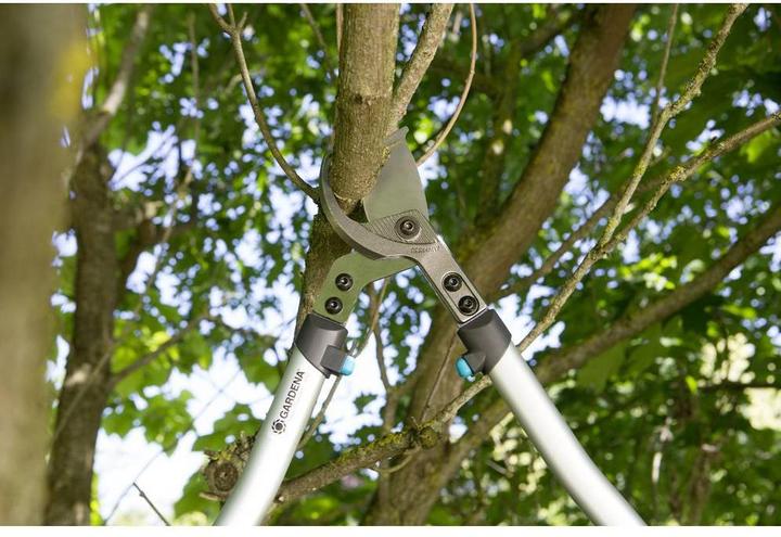 Actual product image Gardena Premium Astschere 700 B