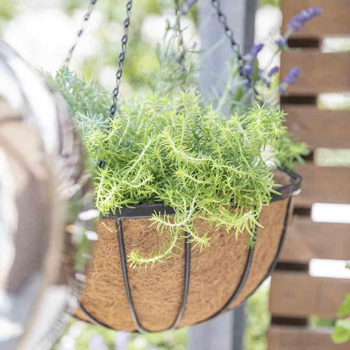 Produktbild Siena Garden Hängekorb (35 x 18 cm)
