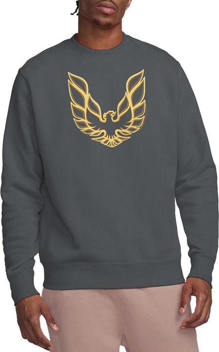 Immagine prodotto Pontiac Iconic Firebird Felpa Adulto Unisex (L)