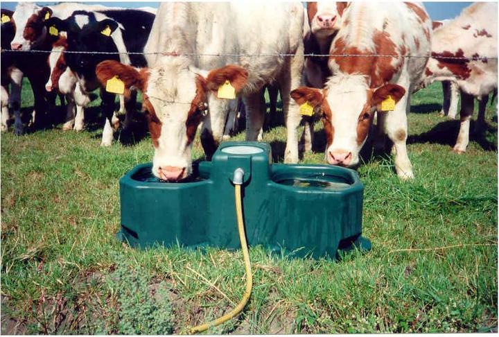Actual product image Suevia Playpen and grazing trough model WT80WT80-N