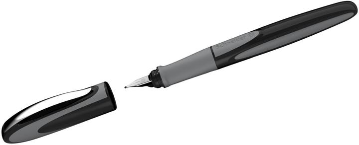 Actual product image Schneider Fountain pen Ray L Onyx (Blue, 1x)