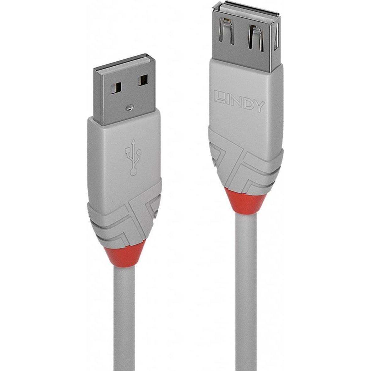 Lindy USB A –  USB A (1 m, USB 2.0), USB Kabel
