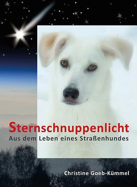 Produktbild Sternschnuppenlicht (Deutsch, Christine Goeb-Kümmel, 2013)