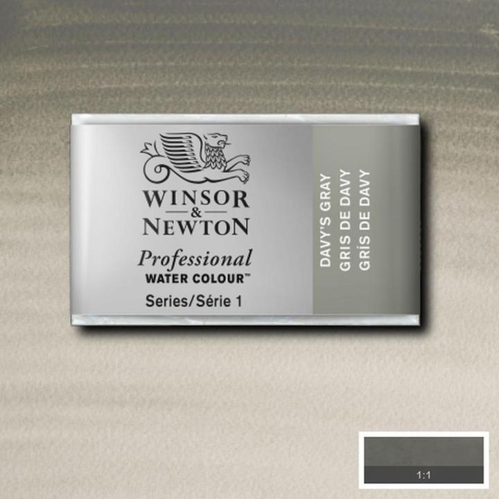 Immagine prodotto Winsor & Newton Artisti dell'acquerello (Grigio, Argento)