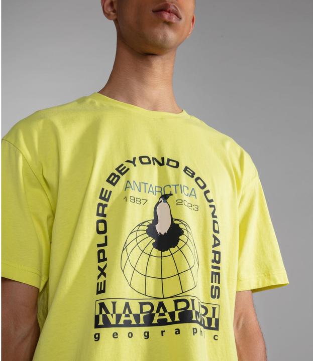 Actual product image Napapijri t-hirt hill (S)