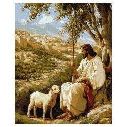 Ideyka Malen nach Zahlen - Seelenfrieden