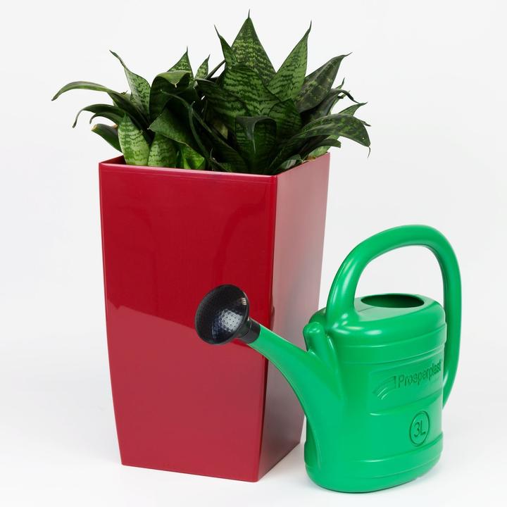 Image du produit Prosperplast Arrosoir (3 l)