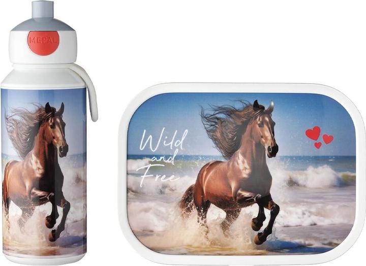 Cavallo selvaggio