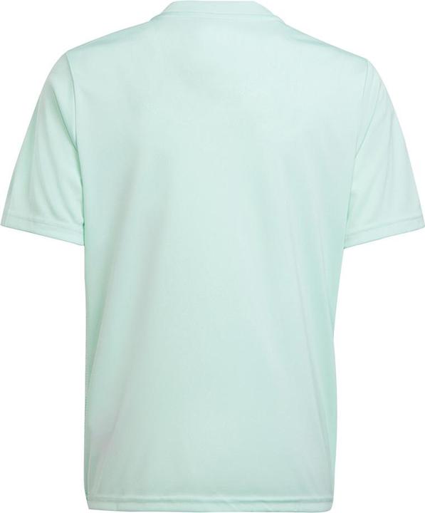 Produktbild adidas Team Icon 23 Trikot (116)