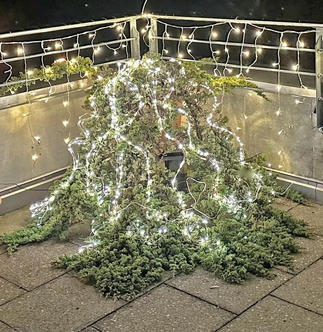Produktbild GuGus LED Lichterkettenstrang (3 m)