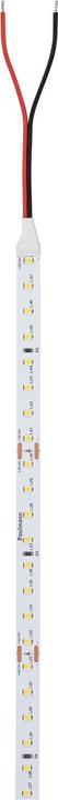Actual product image Paulmann Pro Strip Silver P75 (Daylight, 500 cm, Indoor)