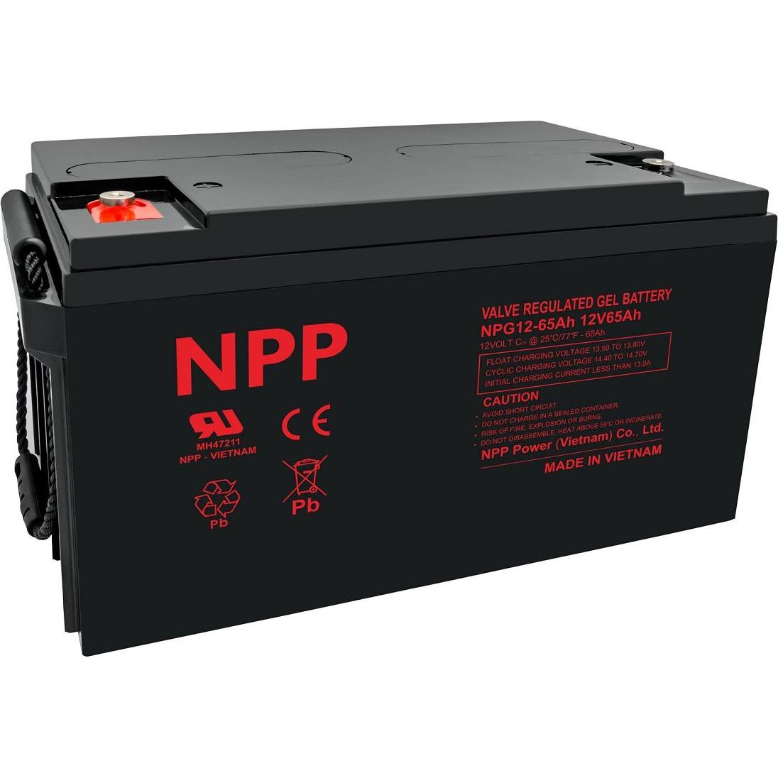 BrightSign Batteria 12V 65Ah Pb GEL (gel) T14(M6) NPP, Accessori per Digital Signage