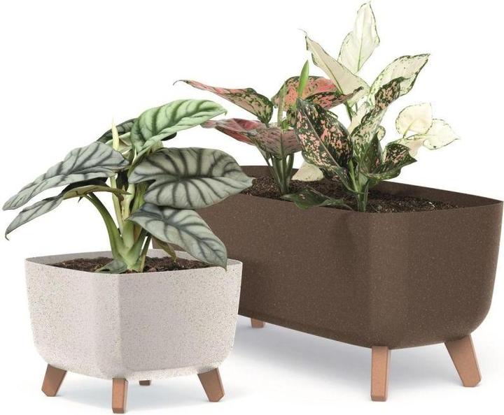 Immagine prodotto Prosperplast Gracia Square Eco Wood Flower Pot 39x39cm Coffee (39 x 61 x 27 cm)
