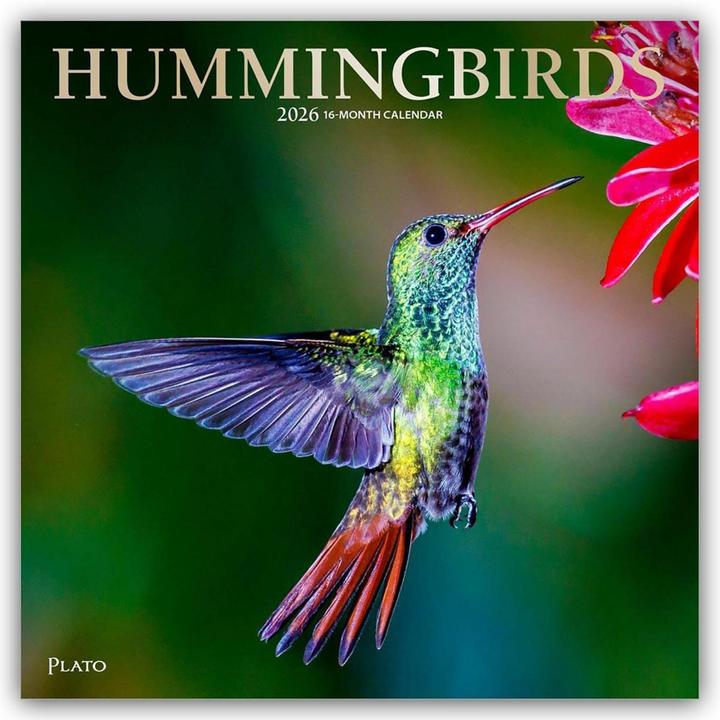 Produktbild Hummingbirds - Kolibris 2026 - 16-Monatskalender (30.5 x 30.5 cm)
